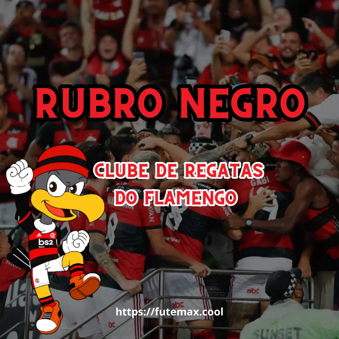 O nome "Rubro Negro" foi criado em 1895, quando o Clube de Regatas do Flamengo foi fundado, na cidade do Rio de Janeiro.